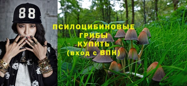 spice Балабаново