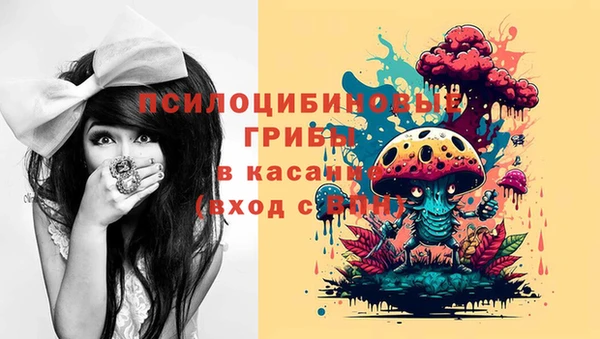 spice Балабаново